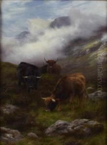 Highland Cattle In A Mountain Glen