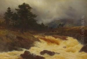 Highland River In Spate