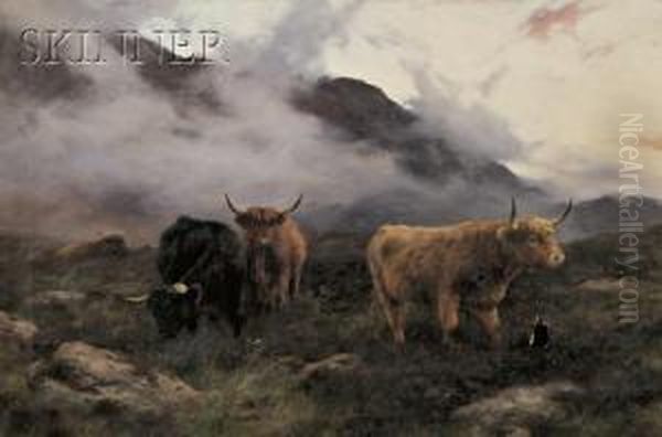 Highland Cattle - view 1