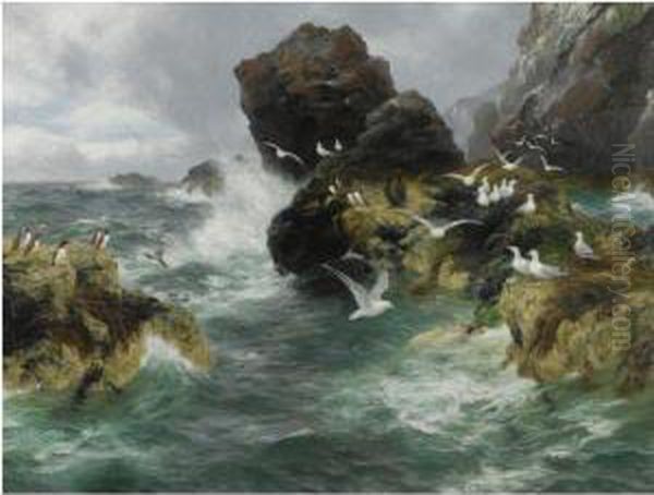 Ocean Surge, White As The Sea Bird's Wing - view 1