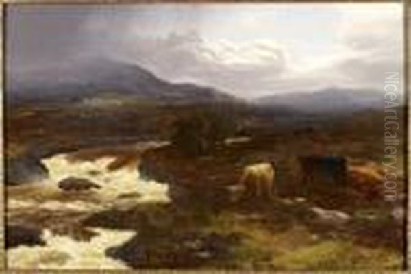 A Spate In The Highlands - view 1