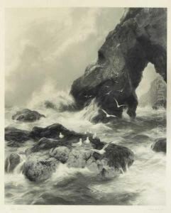 Seagulls On The Cliffs
