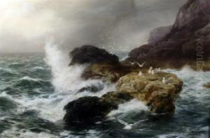 To And Fro Of The Waves