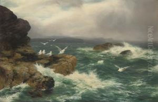 The Incoming Storm - view 1