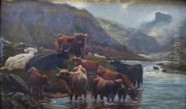 Highland Cattle By A Loch - view 1