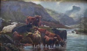 Highland Cattle By A Loch