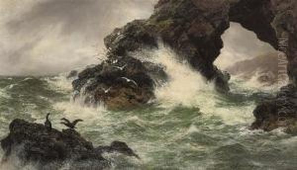 Sea Worn Rocks - view 1