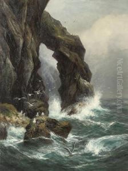 Gulls Off A Rocky Coastline - view 1