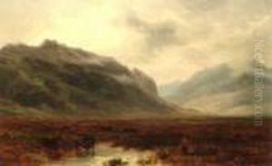 Highland Landscape