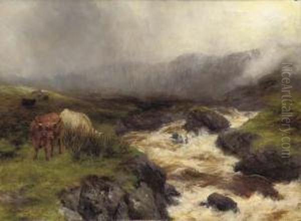 Clearing After Rain - view 1