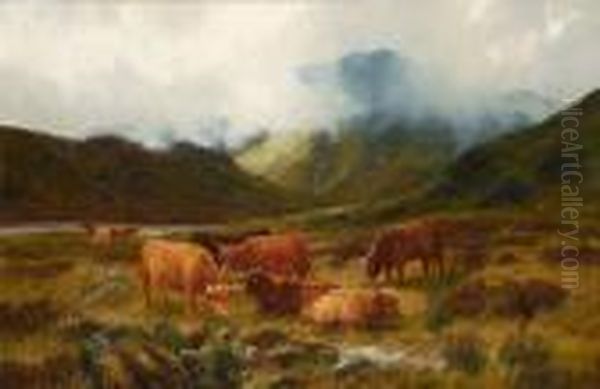 Cattle Grazing In The Highlands - view 1