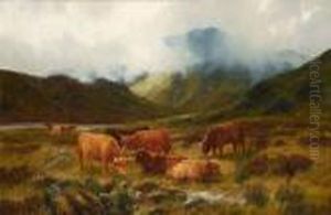 Cattle Grazing In The Highlands
