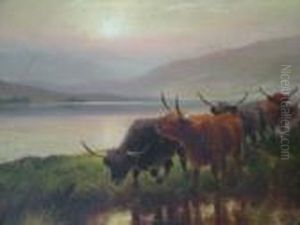 Highland Cattle, Loch Earn