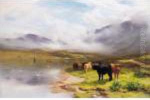 A Highland Drove, Loch Etive