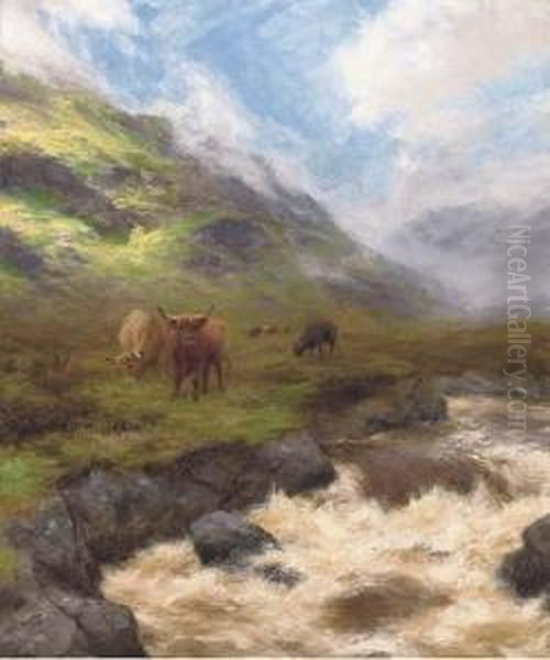Highland Cattle By A Stream In Full Spate - view 1