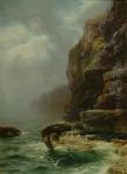The Cradle Of The Seabird by Peter Graham
