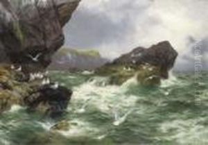 Lonely Sea Cliffs Where The Gannet Finds A Home