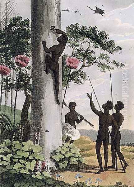 Climbing Trees, aborigines in New South Wales, 1813 - view 1