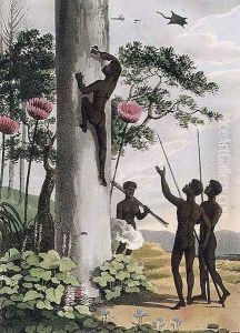 Climbing Trees, aborigines in New South Wales, 1813 by John Heaviside Clark