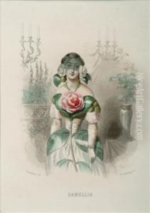 Camellia Tubereuse. Jonquille Fleur De Grenadier thumbnail