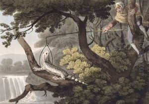 Mexican Lizard Catcher, 1813 by John Heaviside Clark