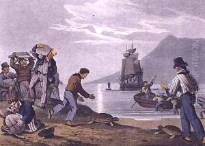 Turtle Catching on Land by John Heaviside Clark