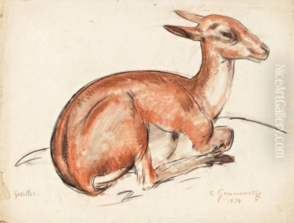 Gazelle - view 1