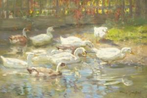 Enten Am Weiher by Franz Grassel