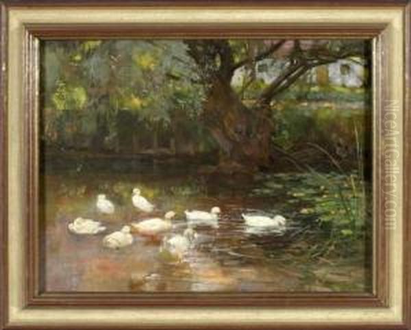 Acht Enten Am Weiher - view 1