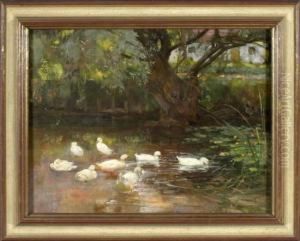 Acht Enten Am Weiher by Franz Grassel