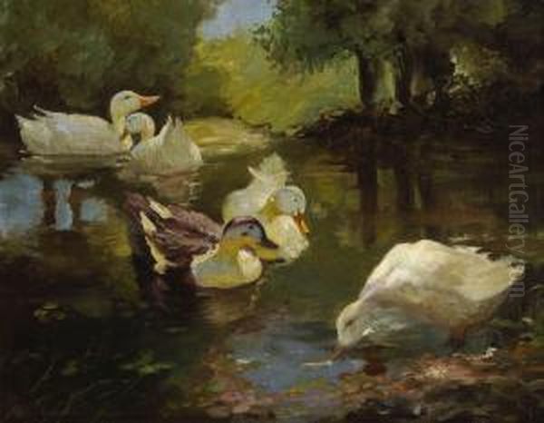 Funf Enten Im Wasser. - view 1