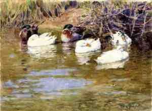 Ducks By The Riverbank by Franz Grassel