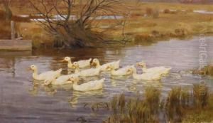 Ducks On The Water by Franz Grassel