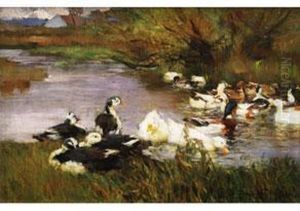 Wildenten Und Bauernenten In by Franz Grassel