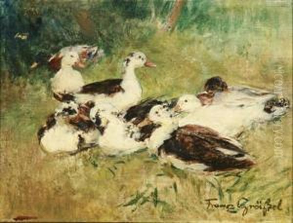 Ruhende Enten - view 1