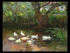 Enten Am Pfaffinger Weiher