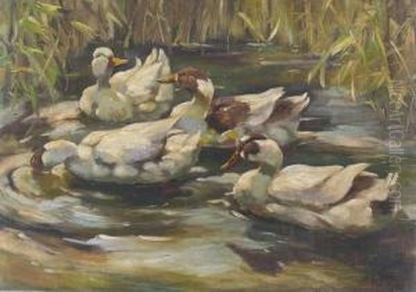 "enten Im Schilf". - view 1