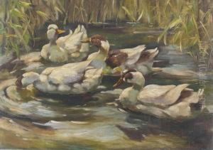 "enten Im Schilf". by Franz Grassel