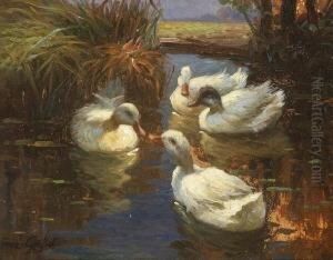 Vier Enten Im Schilf.