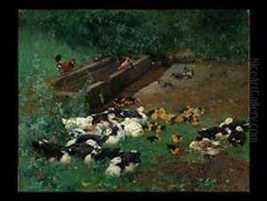 Entenfamilien Mit Kuken by Franz Grassel