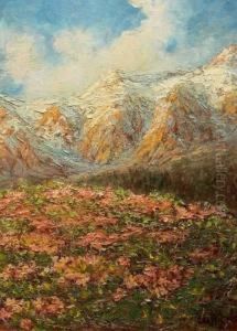 Fioritura Estiva by Giuseppe Grassis