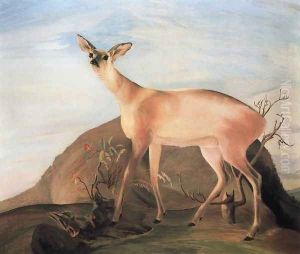 Deer, 1893 by Tivadar Kosztka Csontvary