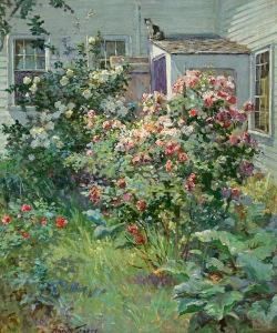 Backyard With A Cat