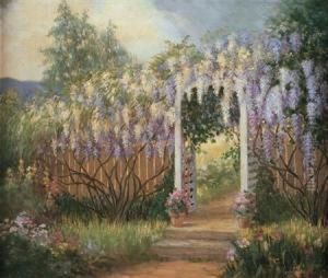 American, - Sunlit Path Withwisteria