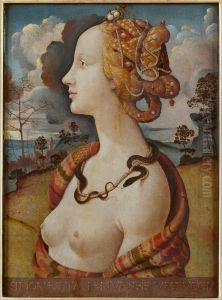 Portrait of Simonetta Vespucci c. 1480 by Piero Di Cosimo