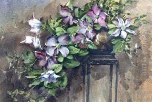 Clematis by James Gray