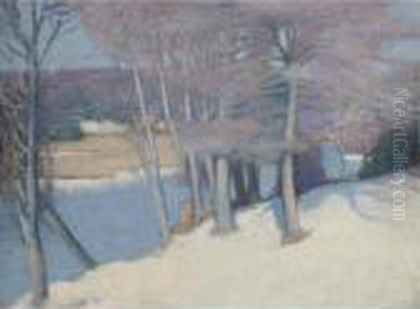Winter Woods - view 1