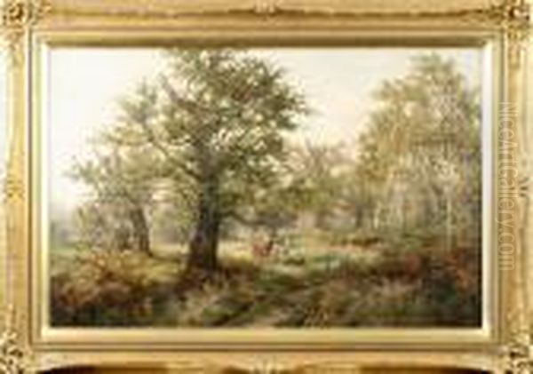 Motiv Fran Sherwoodskogen - view 1
