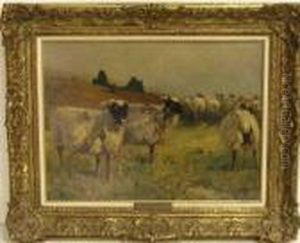 Heidschnucken Auf Der Weide by Greben