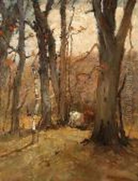 Cattle Grazing Among The Trees - view 1